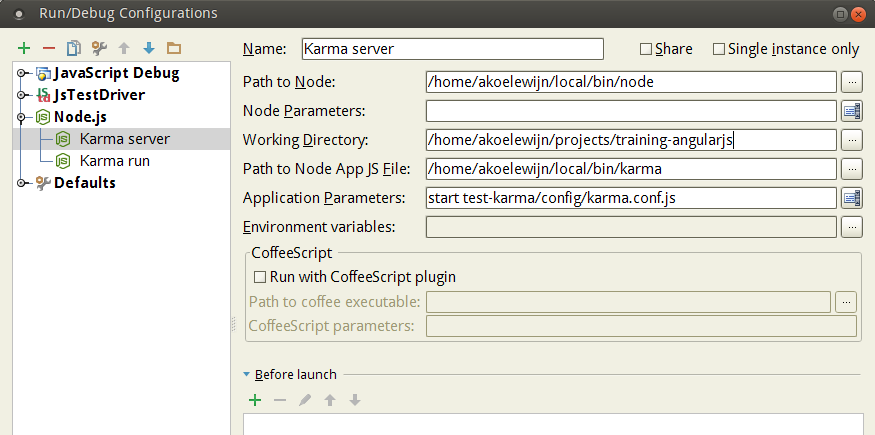 Webstorm Karma Server run configuration